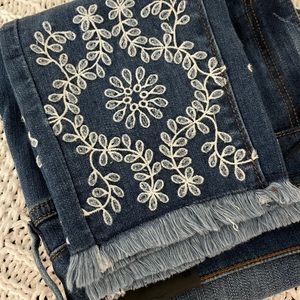 Ann Taylor Embroidered Jeans sz 10 NWT